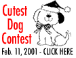 the Cutest Dog Contests in Texas for Seniors